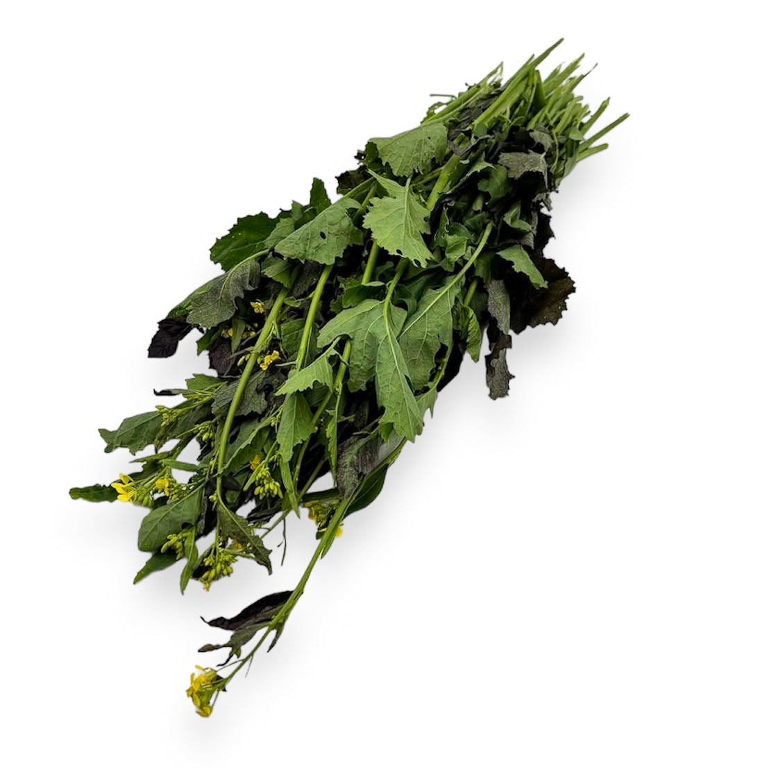 Brauner Senf, 1kg