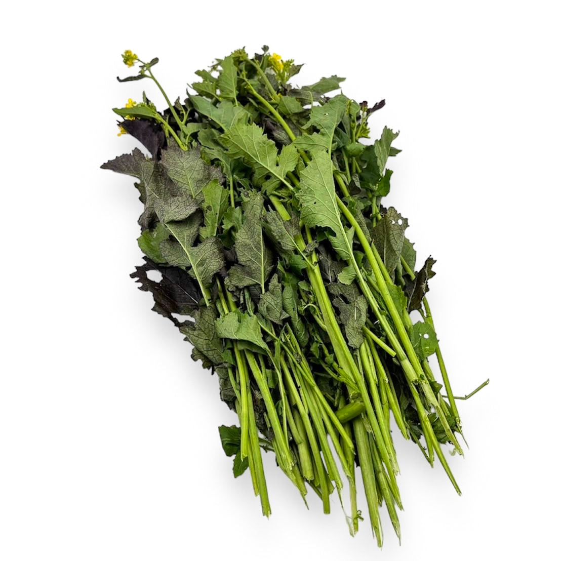 Brauner Senf, 1kg